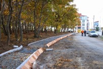 KENT ORMANI - Bafra Belediyesi Kent Ormanı Kurma Çalışmalarına Başladı