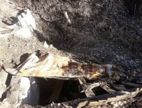 Diyarbakır'daki operasyon sona erdi