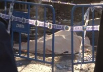 BAKIRKÖY BELEDİYESİ - Bakırköy'de Yıkım Skandalı Açıklaması 1 Ölü