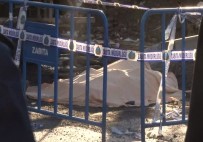 BÜLENT KERIMOĞLU - Bakırköy'de Yıkım Skandalı Açıklaması 1 Ölü