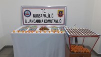 Bursa'da Kumar Operasyonu