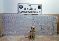 Kilis'te 8 Bin 450 Paket Kaçak Sigara Yakalandı