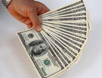 Serbest piyasada döviz açılış fiyatları