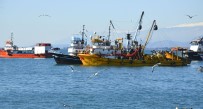 ABHAZYA - Abhazya'dan Türk Balıkçılara Kötü Haber