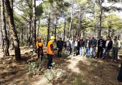 Antalya'da Ağaç Kesme Ve Boylama Operatörlüğü Kursu