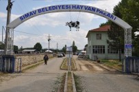 HAYVAN PAZARI - Simav'ın Hayvan Pazarı Yeniden Açıldı