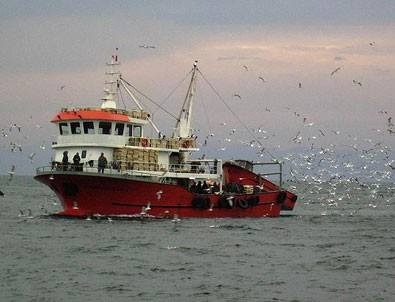 Türk tekneleri kaçan hamsinin peşine düştü