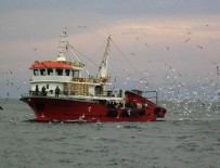 Türk tekneleri kaçan hamsinin peşine düştü Haberi