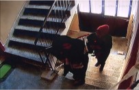 OTOBÜS BİLETİ - Ailenin Tarlada Çalışarak Biriktirdiği Parayı Çaldılar