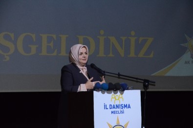 Düzce Milletvekilleri Komisyonlarda