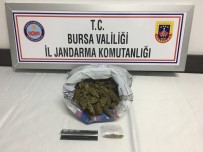 İstanbul'dan Bursa'ya Uyuşturucu Getirirken Yakalandı
