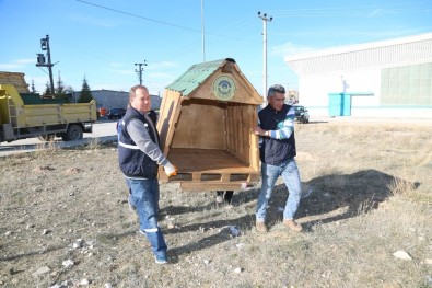 Odunpazarı Belediyesi Sokak Hayvanlarını Unutmadı