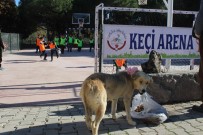 Hayvan Dostu Okuldan İlginç Turnuva