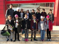 ALI EMRE - SANKOLU Yüzücüler Mersin'de Madalyaya Kulaç Attı