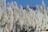 AYRANCıLAR - Çaldıran Dondu