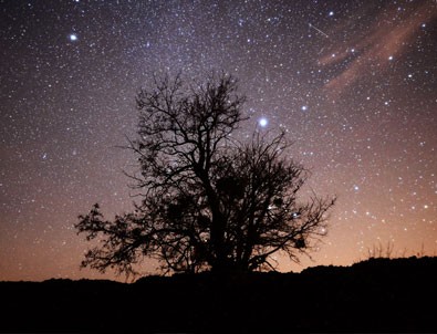 Geminid (İkizler) meteor yağmuru gerçekleşti