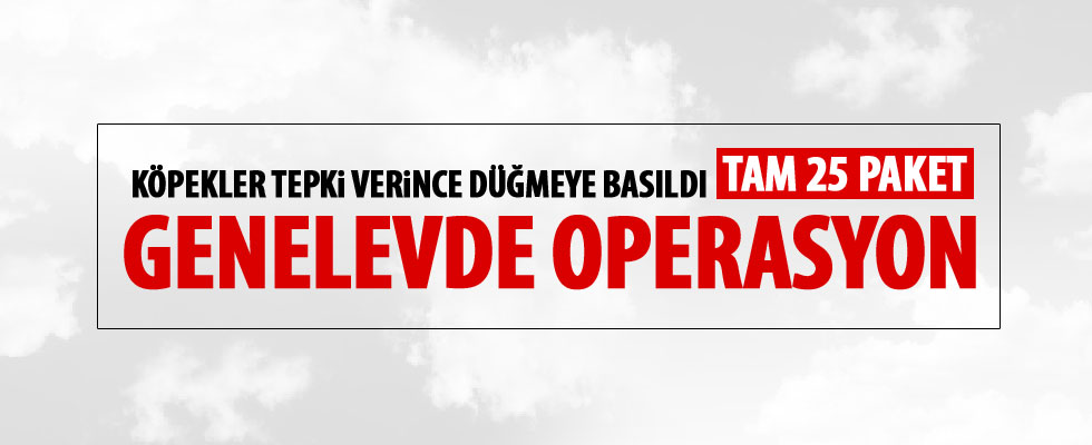 Geneleve uyuşturucu operasyonu