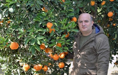 Gıda İthalatı Üretimi Vurdu