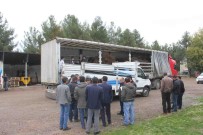 Kulp'ta 2 Bin 575 Adet Ceviz Fidanı Dağıtıldı