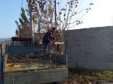 Alaşehir'in Park Ve Sokaklarında Kış Hazırlığı