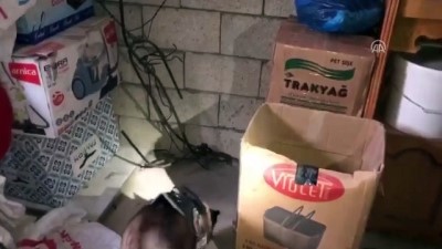 Bolu'da Uyuşturucu Operasyonu