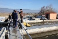 CAVIT ERDOĞAN - Domaniç'e Evsel Nitelikli Atık Su Arıtma Tesisi