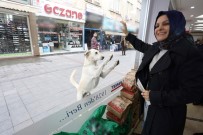 SOKAK KÖPEKLERİ - Patisiyle Tıklıyor, Yemeğini Kapıyor