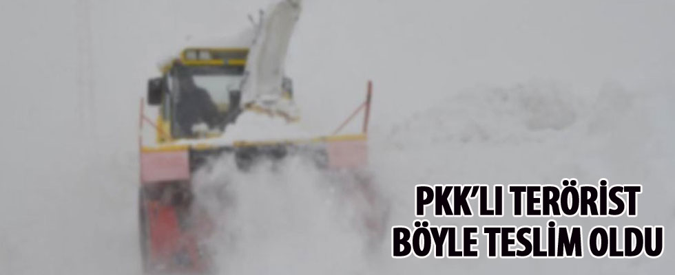 PKK'lı terörist, Giresun'da iş makinesi operatörüne teslim oldu