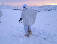 PKK TERÖR ÖRGÜTÜ - Van'da terör operasyonu