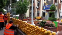 İLK KURŞUN - Festival Süslemeleri İçin 30 Ton Narenciye Kullanıldı