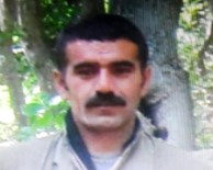 FERHAT YILMAZ - 1 Milyon Lira Ödüllü O Terörist Öldürüldü