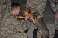 HAYVAN SEVERLER - Cesur, Asker Abilerine Kavuştu