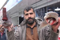 KÖPEK BALIĞI - Köpek Balığı Ve Kılıç Balığını İlk Kez Görenler Fotoğraf Çektiriyor