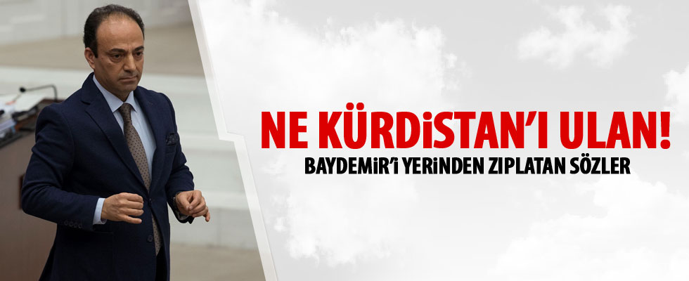Baydemir'e sert tepki: Ne Kürdistan'ı ulan!