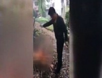 SÖYLEMEZSEM OLMAZ - Caniliğin böylesine pes!