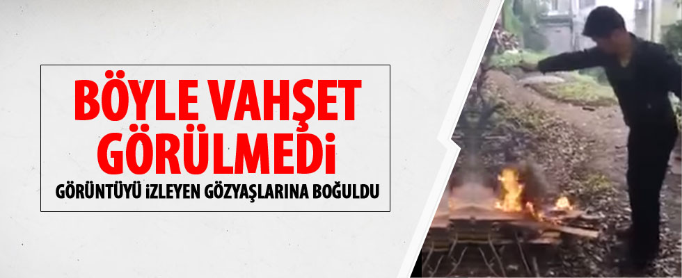 Caniliğin böylesine pes!