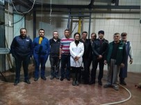 KALİFİYE ELEMAN - Daday'da Kasaplık Kursuna Yoğun İlgi