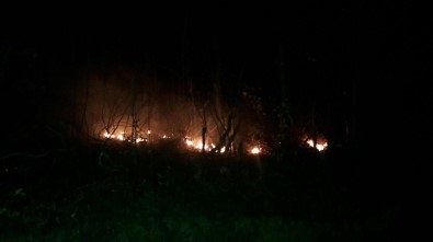 Hendek'te Kısa Süren Orman Yangınları Söndürüldü