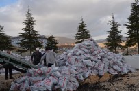 KÖMÜR YARDIMI - Darende'de İhtiyaç Sahiplerine Kömür Dağıtılıyor