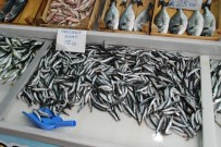 Hamsinin Ateşi Daha Da Yükselecek