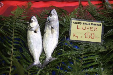 Lüferde Tehlike Çanları