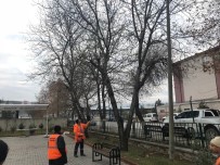 BOZÜYÜK BELEDİYESİ - Parklarda Kış Hazırlıkları