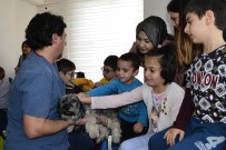 ANAOKULU ÖĞRENCİSİ - 'Sen De Bir Pati Sev' Projesi Sürüyor