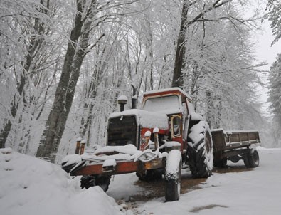 Trakya'da kar yağışı etkili oluyor