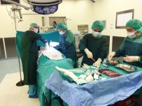 AKCİĞER NAKLİ - Uludağ Üniversitesi Organ Naklinde Dönüşüme Hazırlanıyor