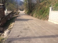 YOL ÇALIŞMASI - Kırsalda Beton Yol Çalışmaları Ediyor