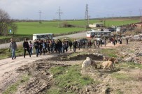 ERTUĞRUL TANRıKULU - Üniversiteli Gençlerden Sokak Köpeklerine Gıda Desteği