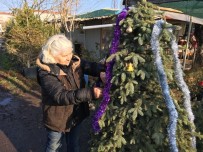 YILBAŞI GECESİ - Botanikçilerden Yılbaşında Çam Kesmeyin, 'Dikin' Çağrısı