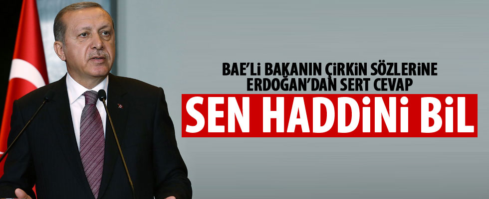 Cumhurbaşkanı Erdoğan: Haddini bil