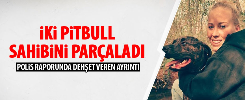 Pitbull dehşet saçtı